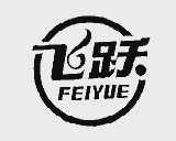 飞跃