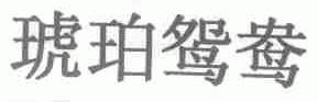 琥珀鸳鸯