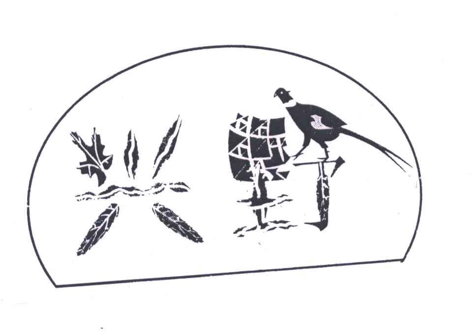 兴野