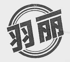 羽丽