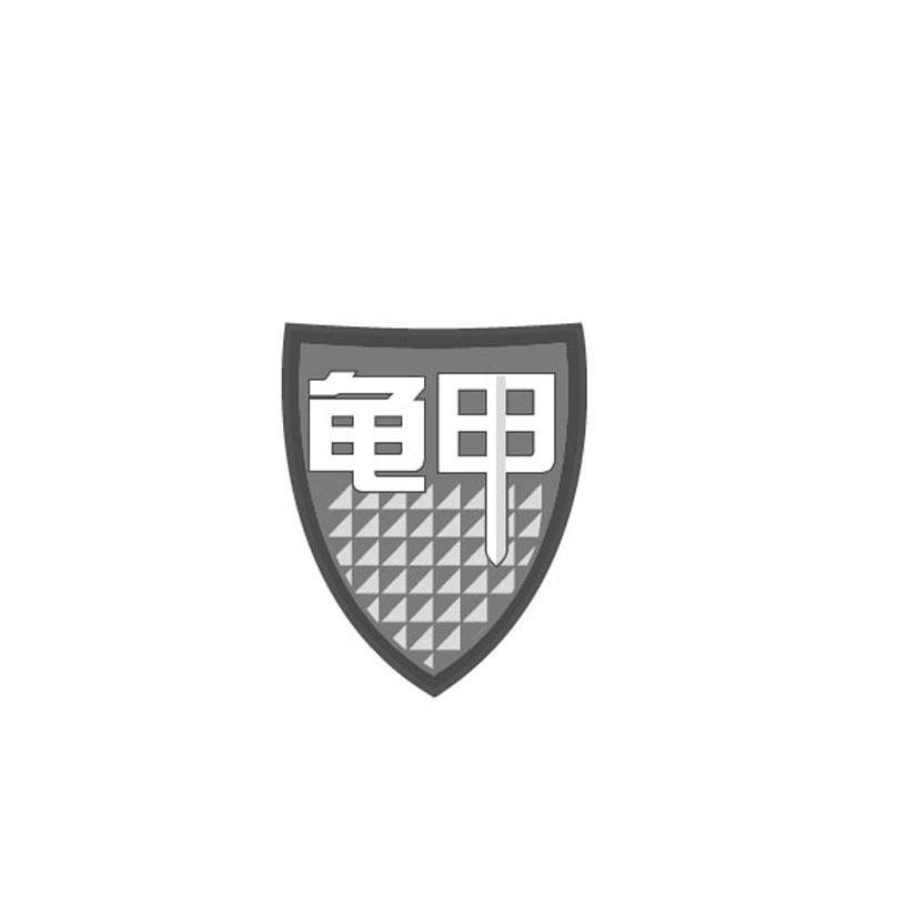 龟甲