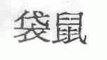 袋鼠