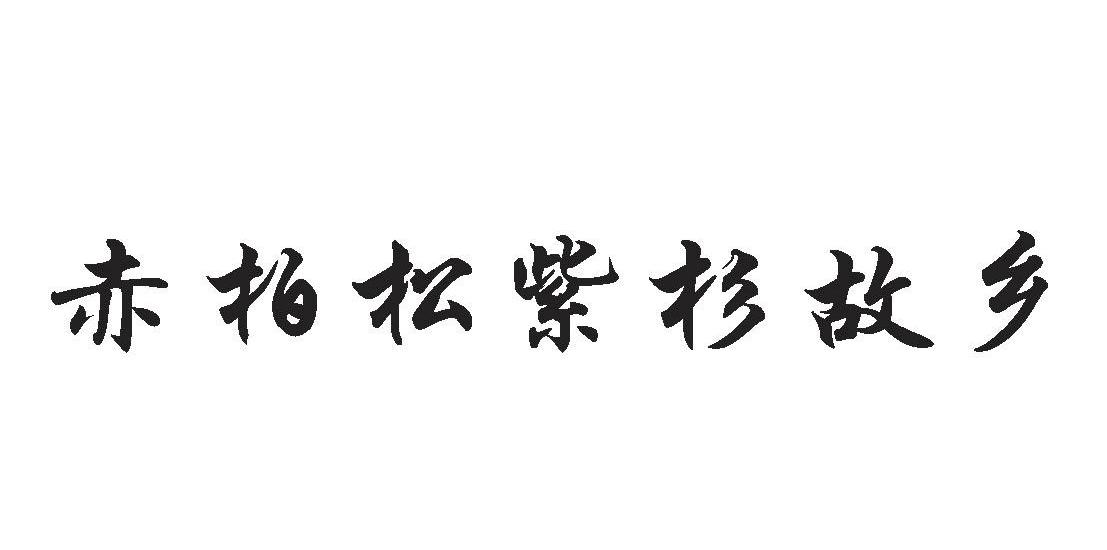 赤柏松紫杉故乡