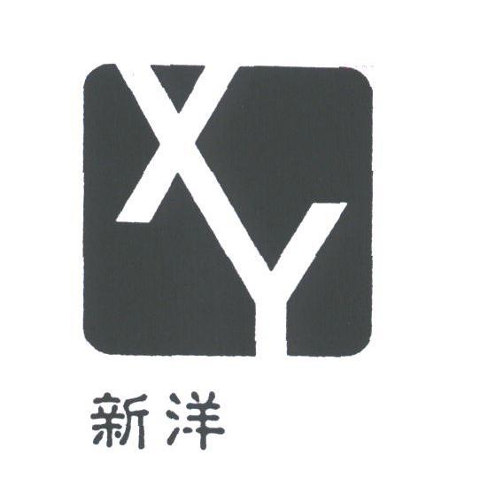 新洋
