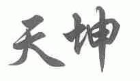 天坤