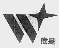 伟星