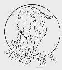 绵羊;SHEEP
