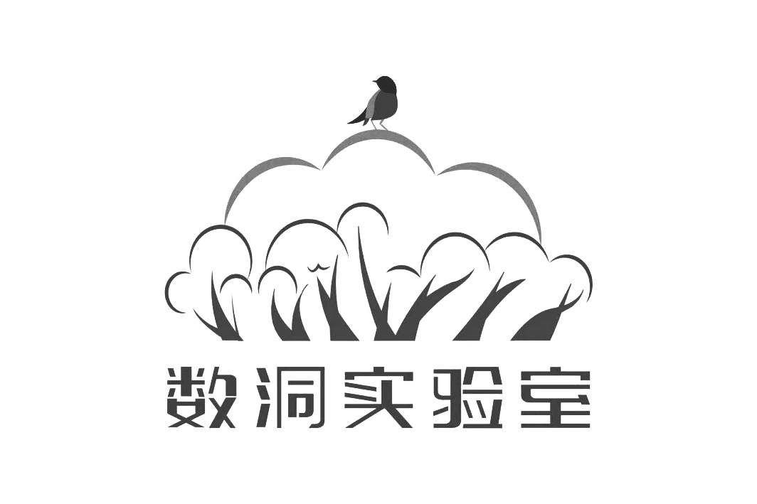数洞实验室