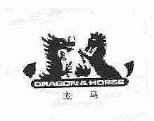 龙马    DRAGON &HORSE