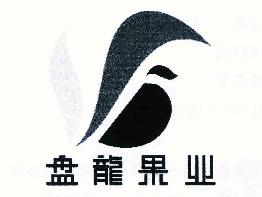 盘龙果业