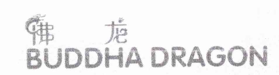 佛龙 BUDDHA DRAGON