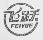 飞跃