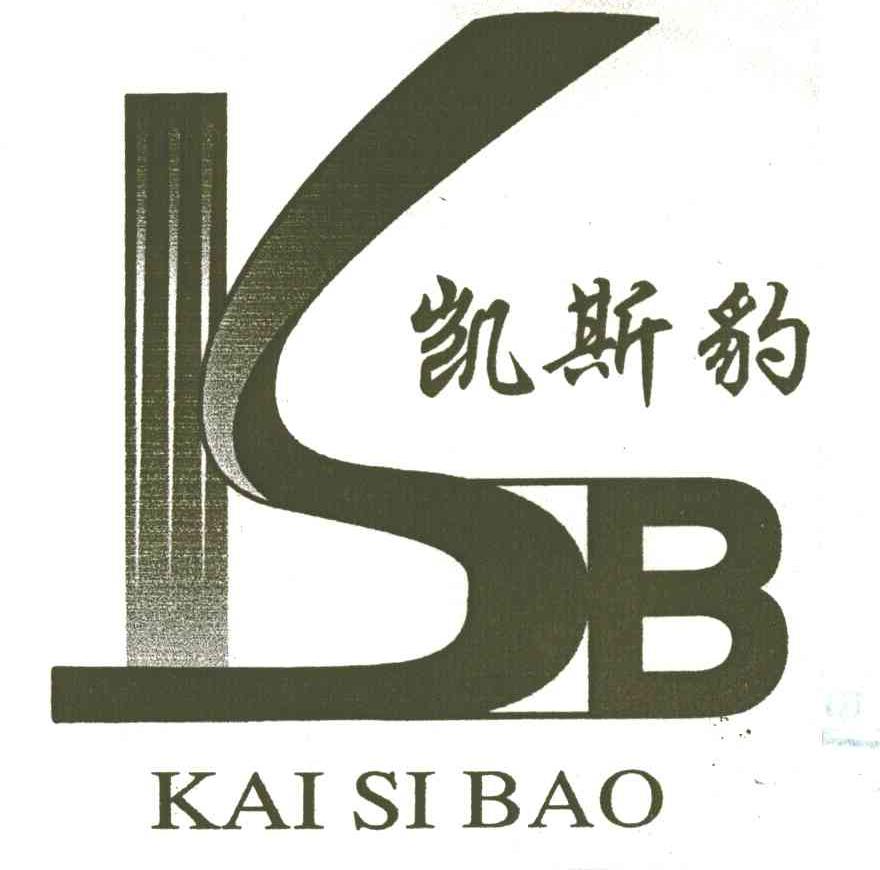 凯斯豹