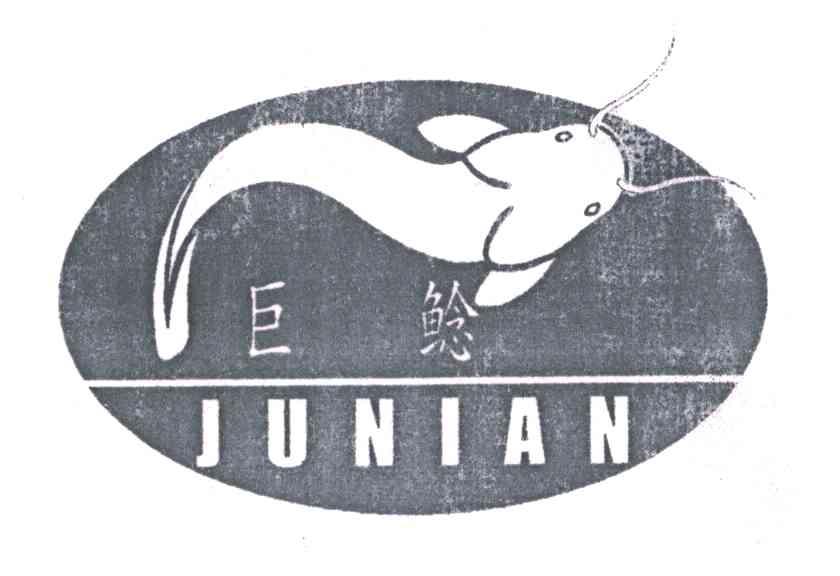 巨鲶;JU NIAN
