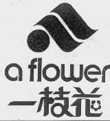 一枝花;A FLOWER