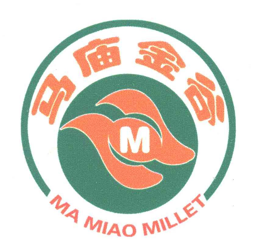 马庙金谷;MAMIAO MILLET