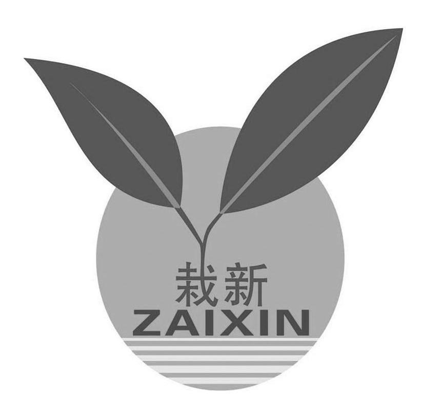 栽新