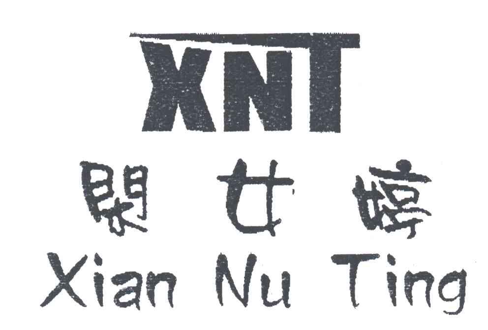 闲女婷;XNT