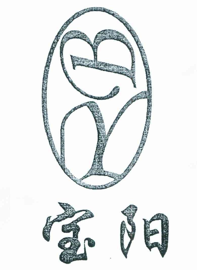 宝阳 BY
