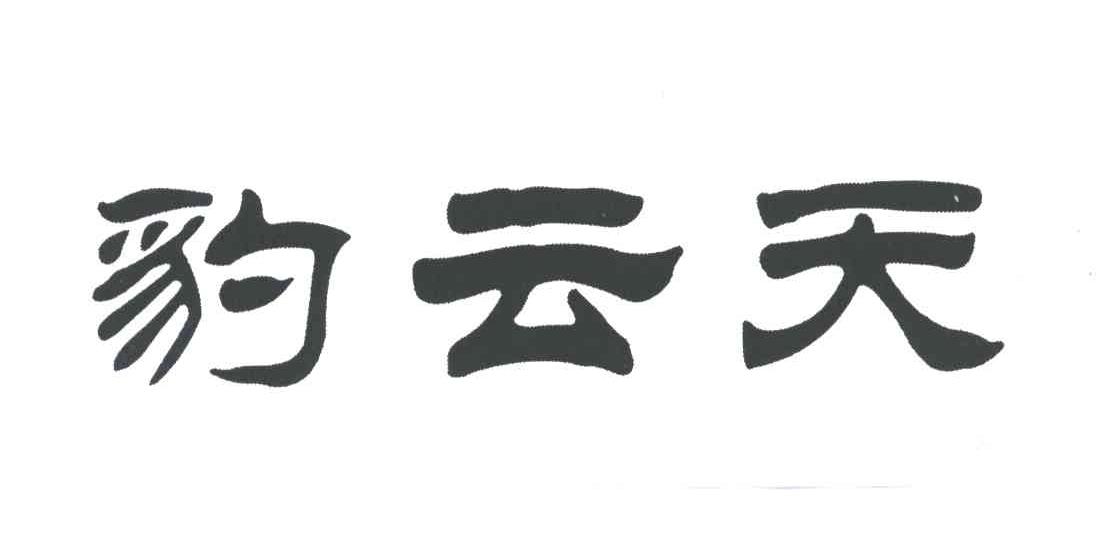 豹云天
