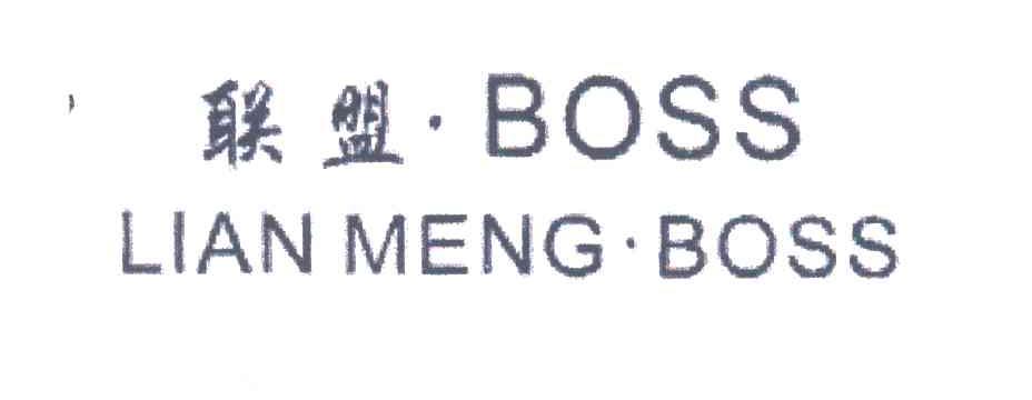 联盟;LIANMENG BOSS；BOSS