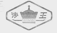 沙王