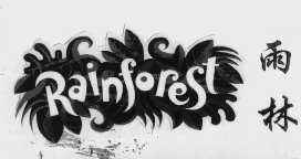 雨林   RAINFOREST