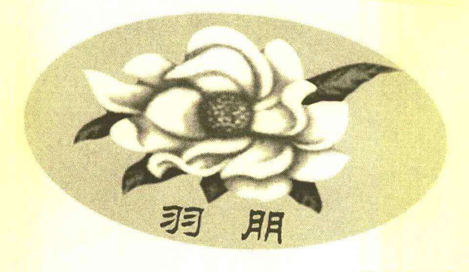 羽朋