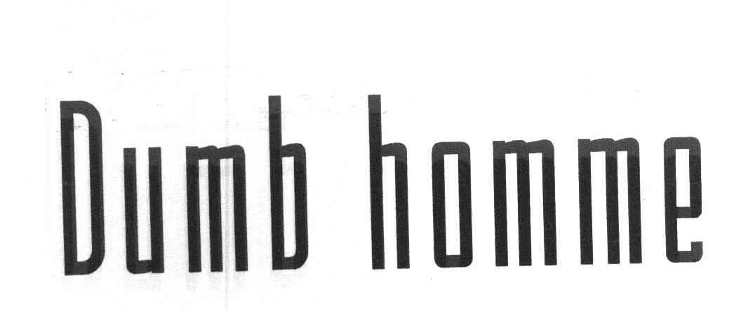 DUMB HOMME