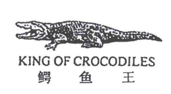 鳄鱼王;KING OF CROCODILES