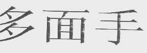 多面手