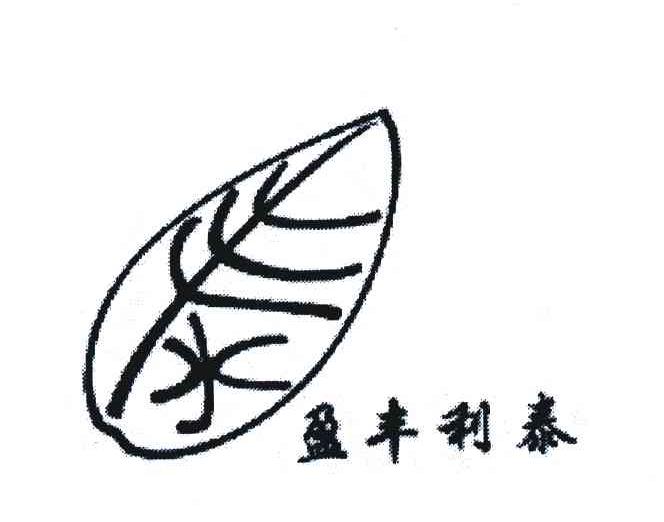 盈丰利泰