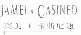 真美.卡斯尼迪;JAMEI CASINED