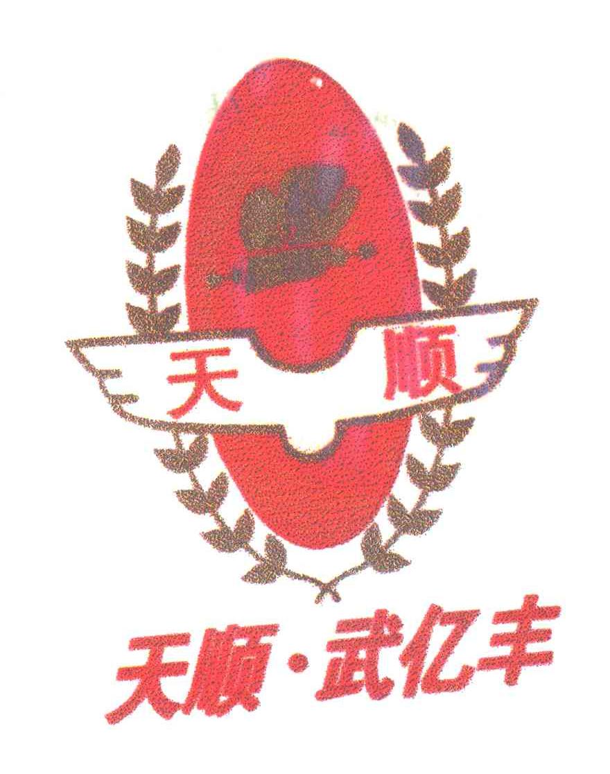天顺武亿丰