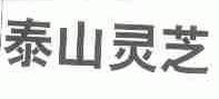泰山灵芝