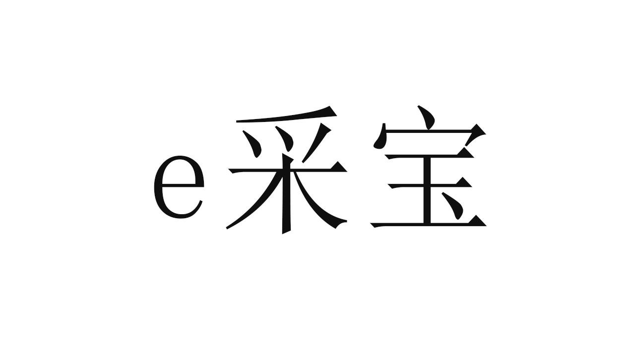 E采宝
