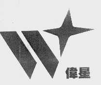 伟星