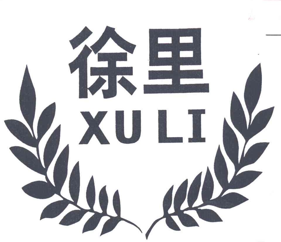 徐里;XULI
