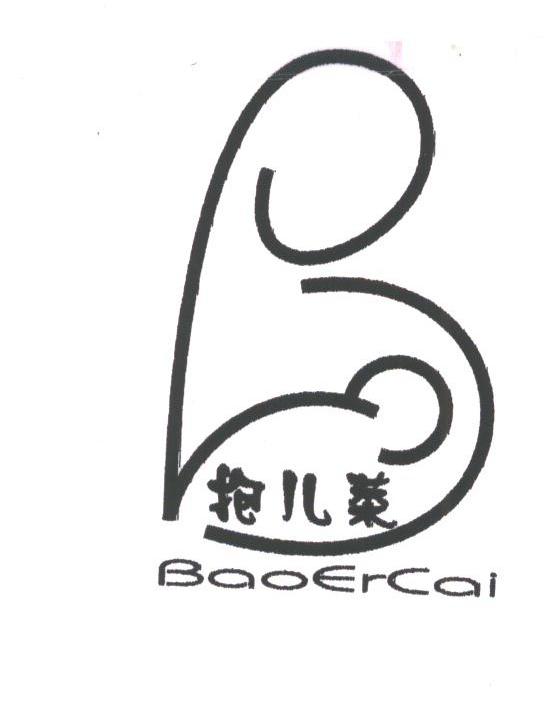 抱儿菜