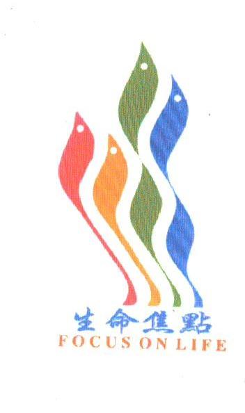 生命焦点;FOCUS ON LIFE