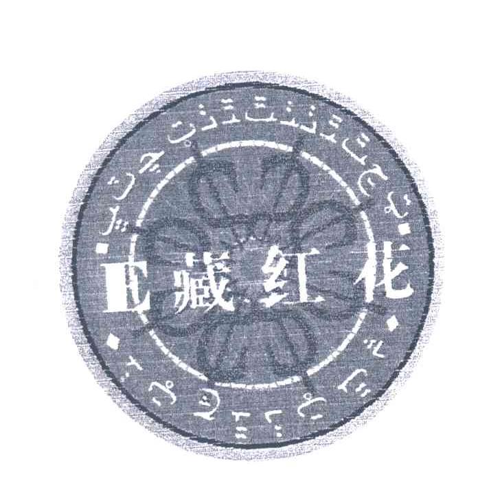 藏红花
