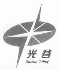 光谷;OPTICS VALLEY