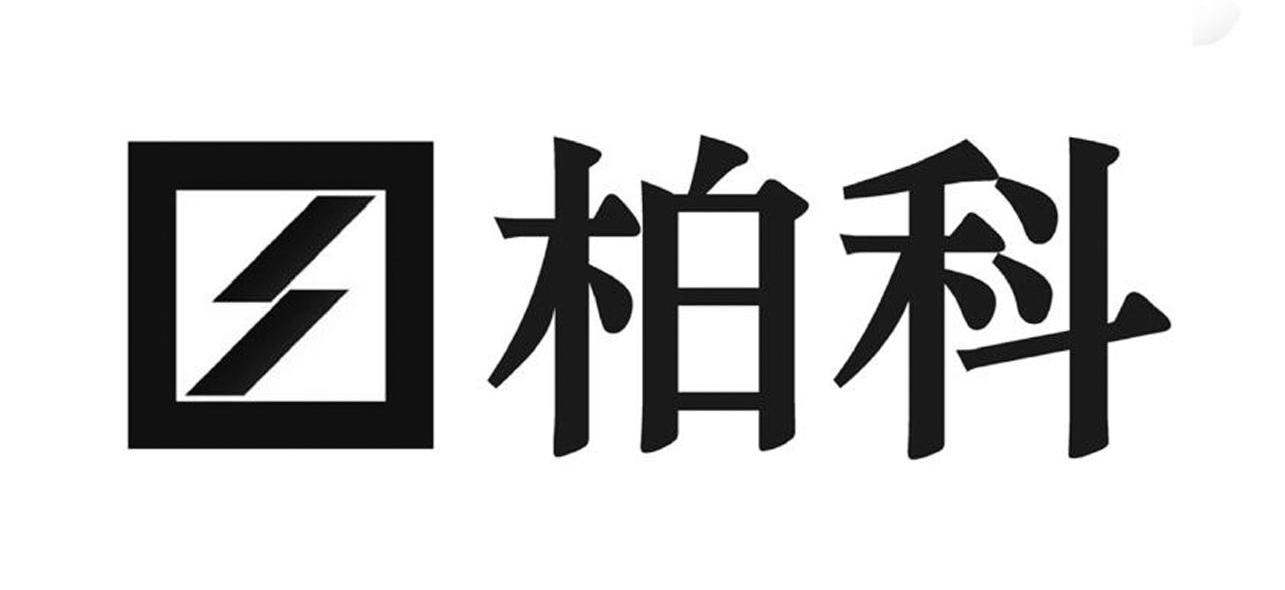 柏科