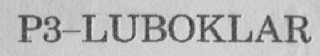 P3-LUBOKLAR