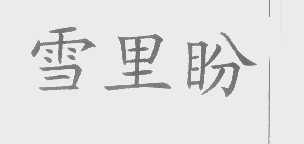 雪里盼