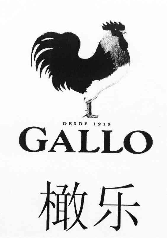 橄乐 GALLO DESDE 1919