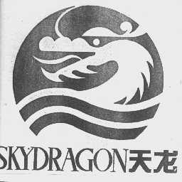 天龙  SKYDRAGON