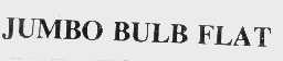 JUMBO BULB FLAT