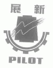 展新;PILOT