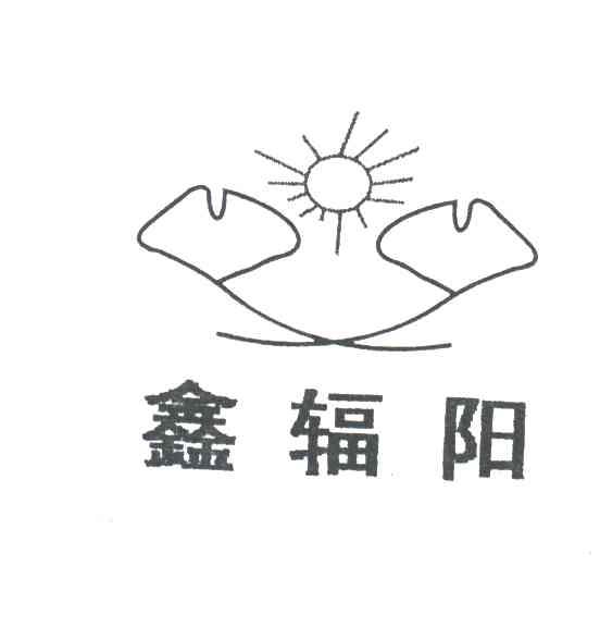 鑫辅阳
